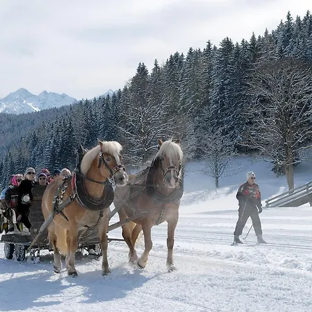 Osterreich Apartment Ramsau am Dachstein